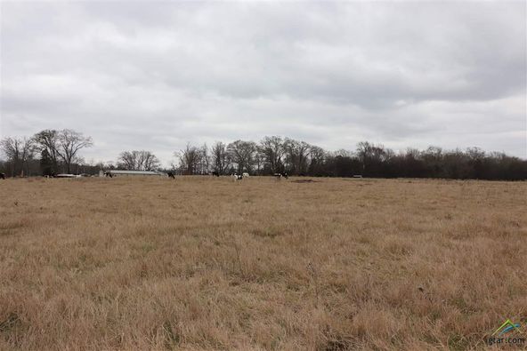 tbd cr 4114: tbd cr 4114, Pittsburg, TX 75686